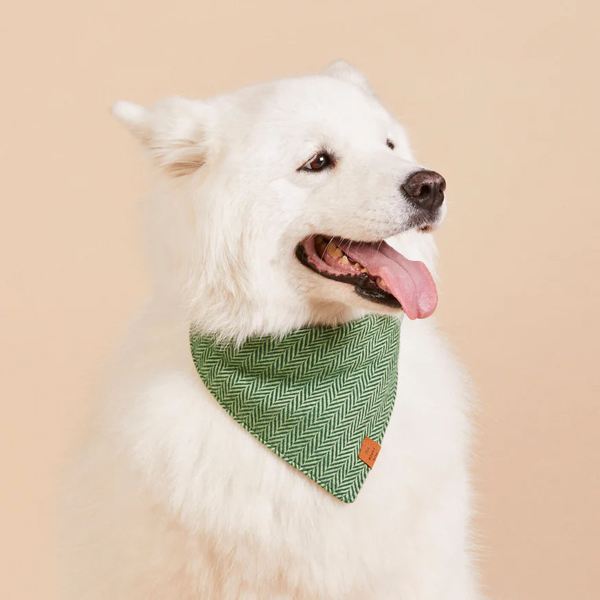 Dog Bandana Green
 Dog Bandana Green Herringbone Flannel